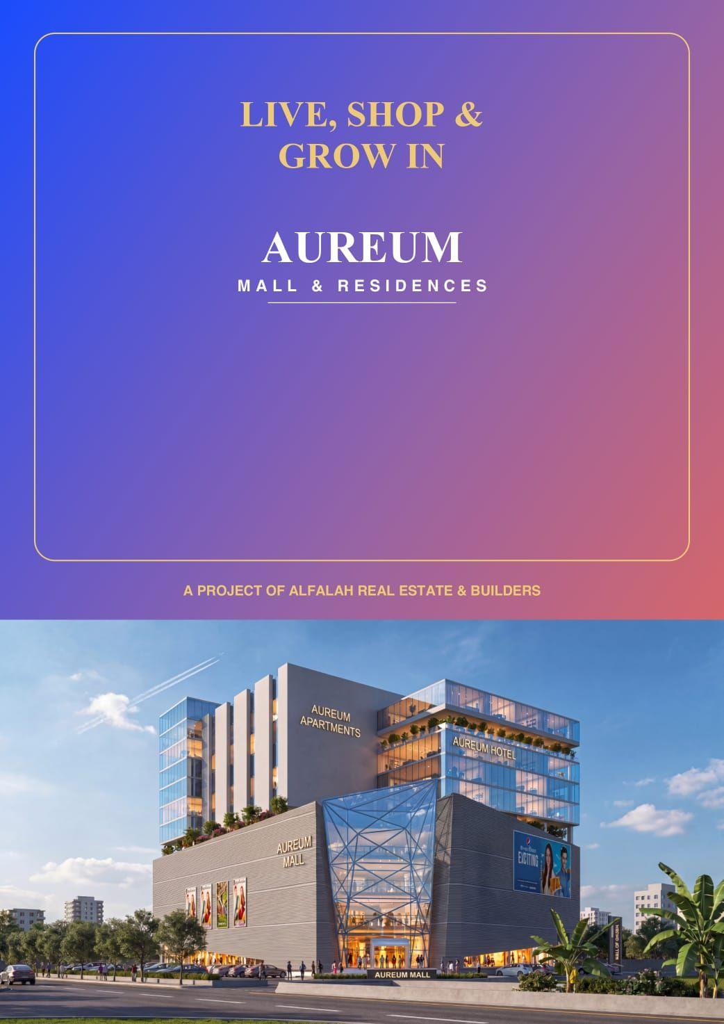 Aurium Mall & Residences — photo 3 of 8